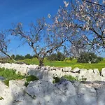 Milagres De Santa Rita 公寓 维拉诺瓦德卡塞拉