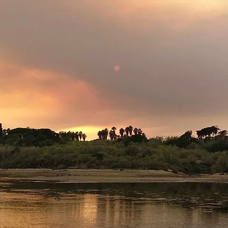 Milagres De Santa Rita *