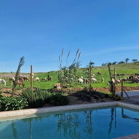 Milagres De Santa Rita דירה *