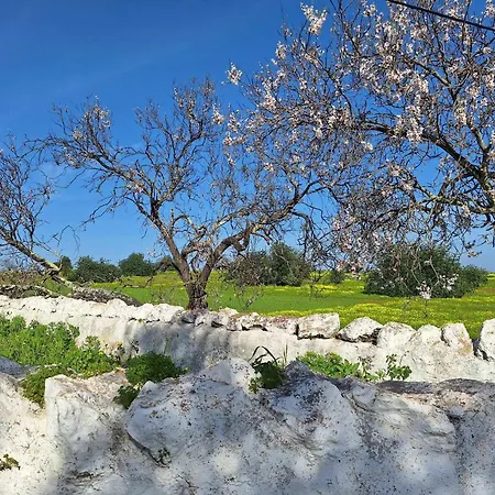 Milagres De Santa Rita Appartamento Vila Nova de Cacela